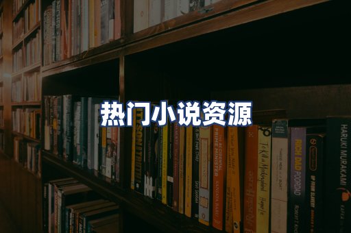 热门小说资源